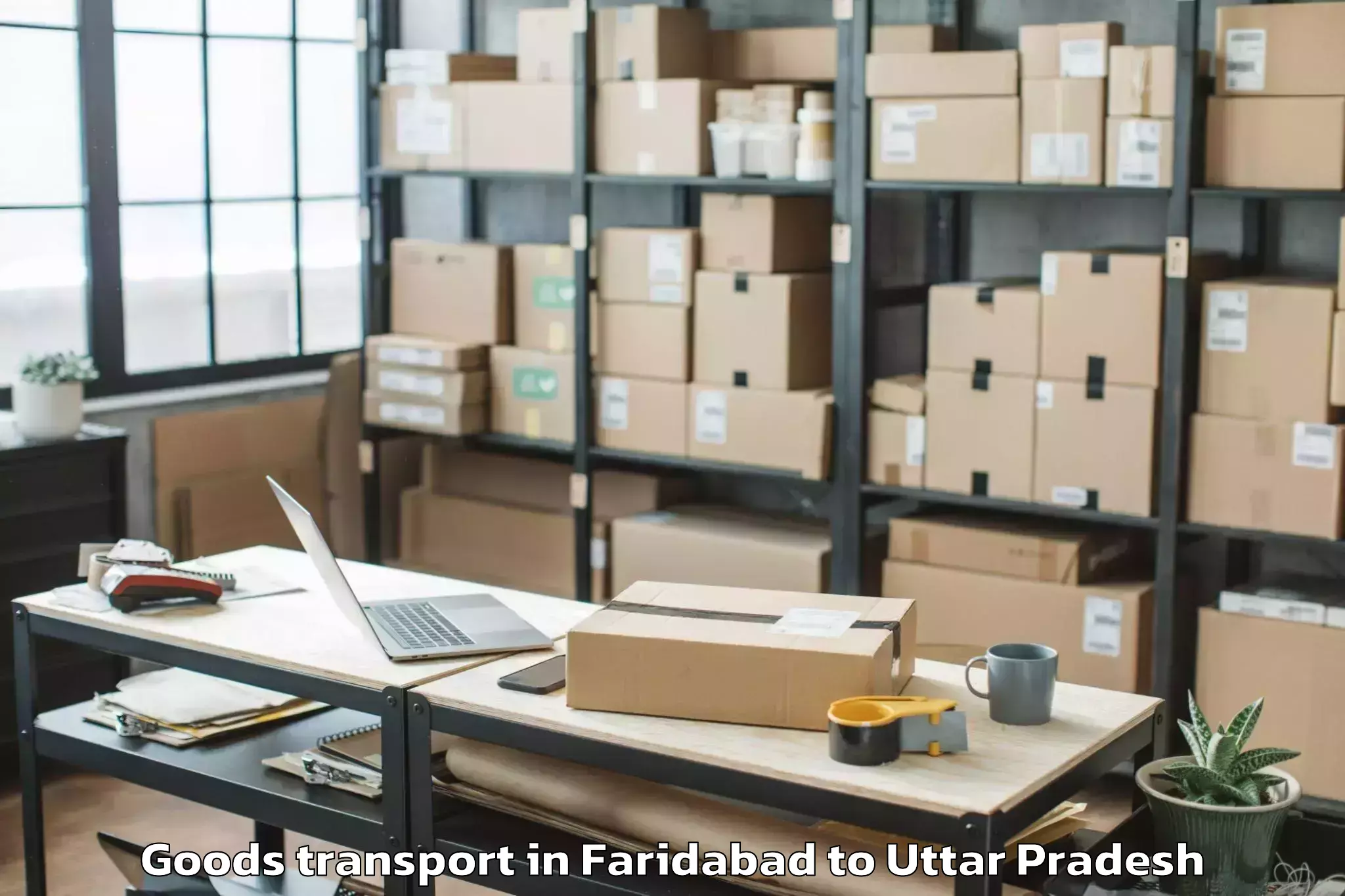 Book Faridabad to Maharaganj Goods Transport